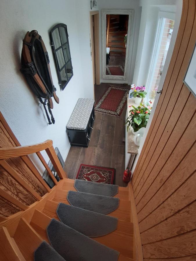 Hanerau-Hademarschen Ferienwohnung Schwalbennest מראה חיצוני תמונה